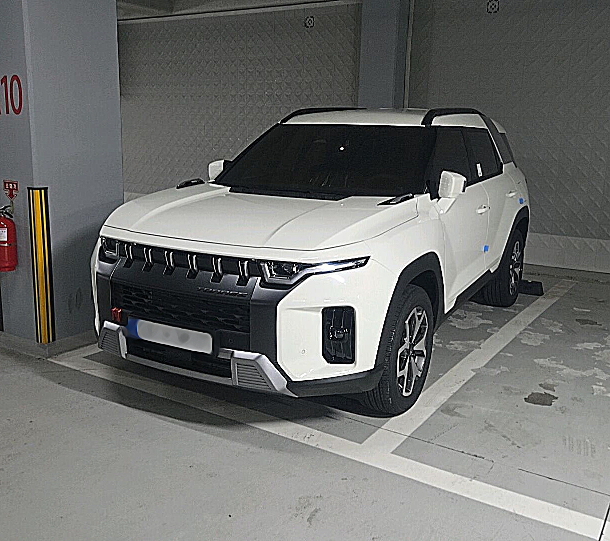 더미 이미지